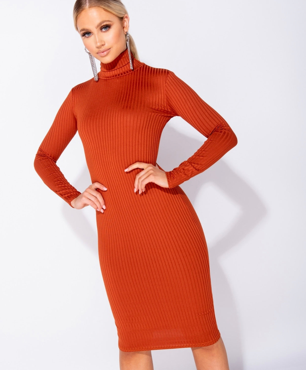 SAIDI | RIB KNIT TURTLE NECK DRESS